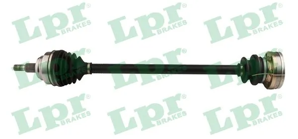 DS51080 LPR