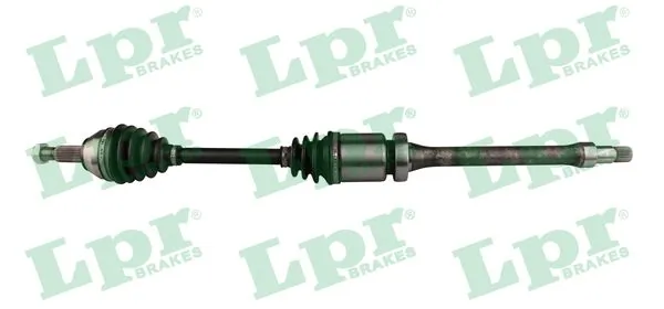 DS21135 LPR