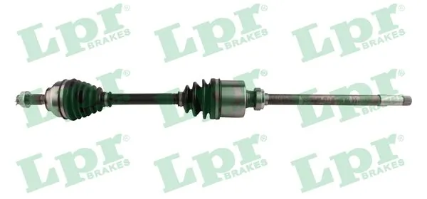 DS60206 LPR
