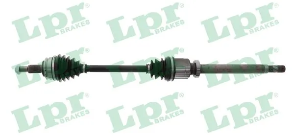 DS52451 LPR