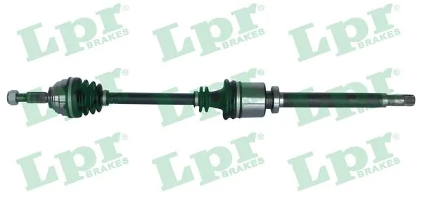 DS52272 LPR