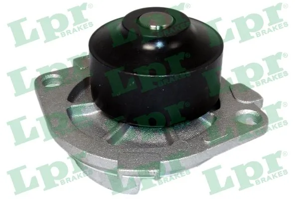 WP0210 LPR