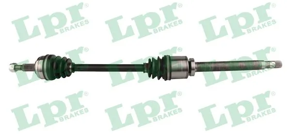 DS52221 LPR