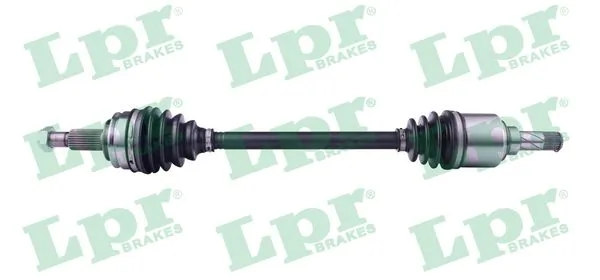 DS52450 LPR