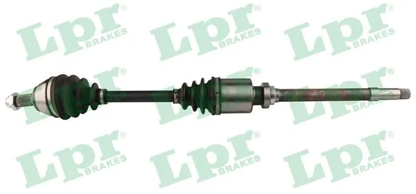 DS16081 LPR