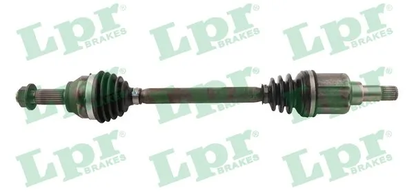 DS21134 LPR