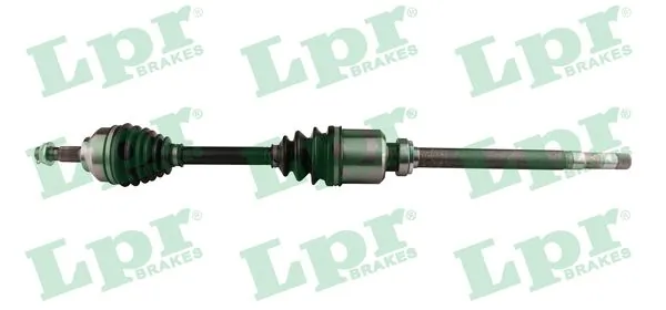 DS60186 LPR