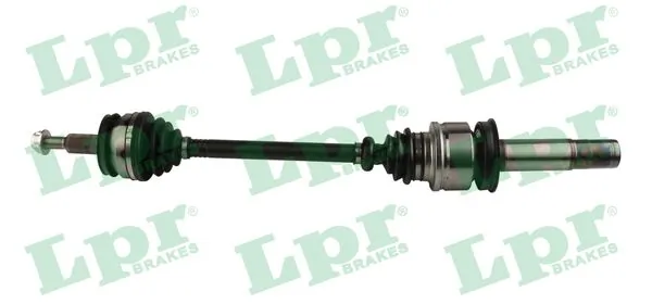 DS52633 LPR