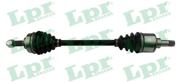 DS60575 LPR