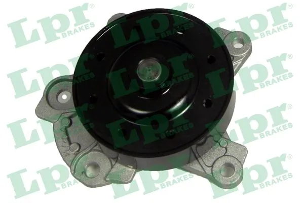WP0791 LPR