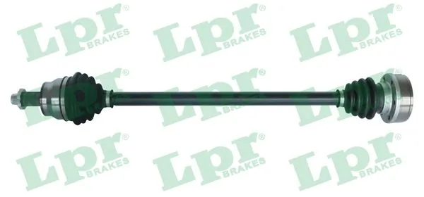 DS51125 LPR