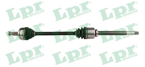 DS52224 LPR