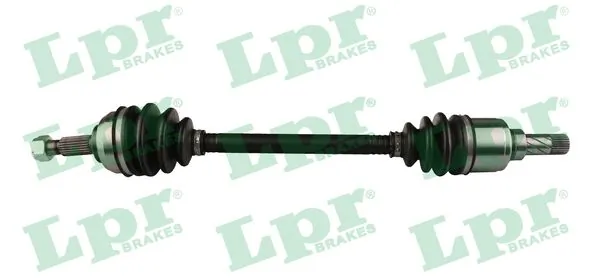 DS52251 LPR