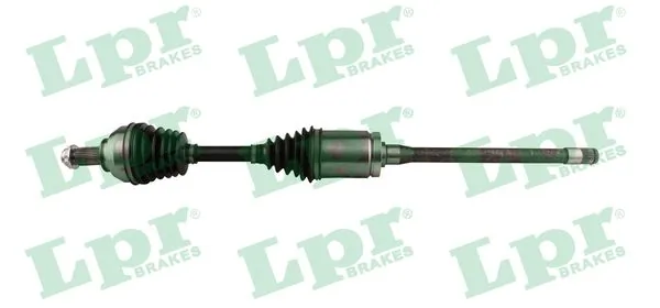 DS15040 LPR