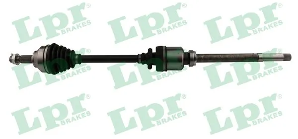 DS52307 LPR