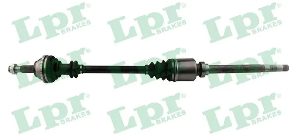 DS16097 LPR