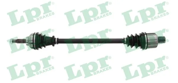 DS52216 LPR