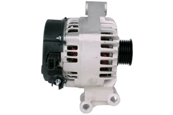 Do koszyka MS1022118354 Ford Alternator