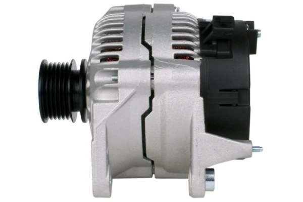 Do koszyka 1638101480 Peugeot/Citroen Alternator