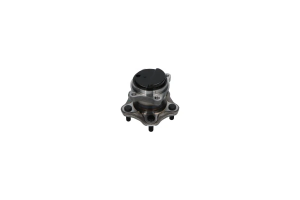 WBH6546 Kavo Parts Piasta tylna