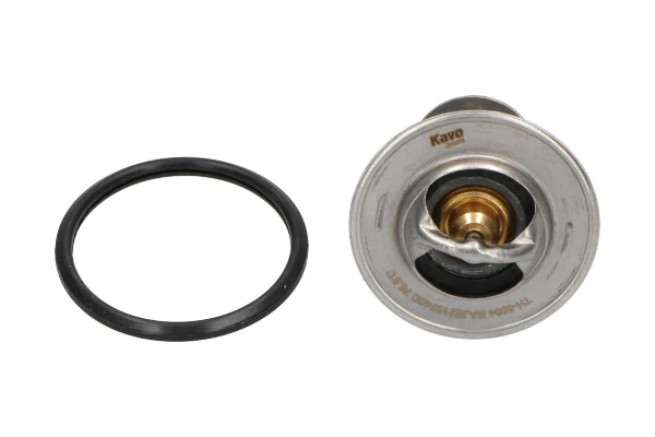 TH5504 Kavo Parts