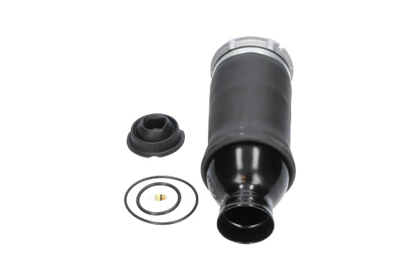 SAS10045 Kavo Parts