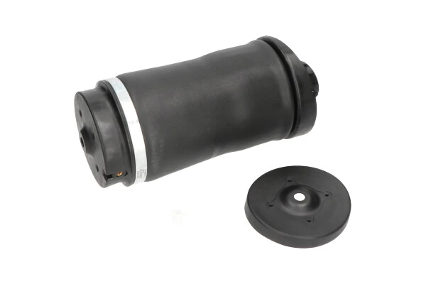 SAS10018 Kavo Parts