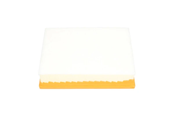  Filtr powietrza Nissan Navara 