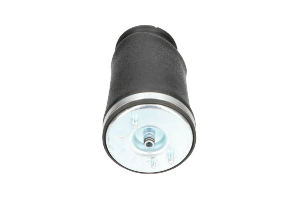 SAS10036 Kavo Parts