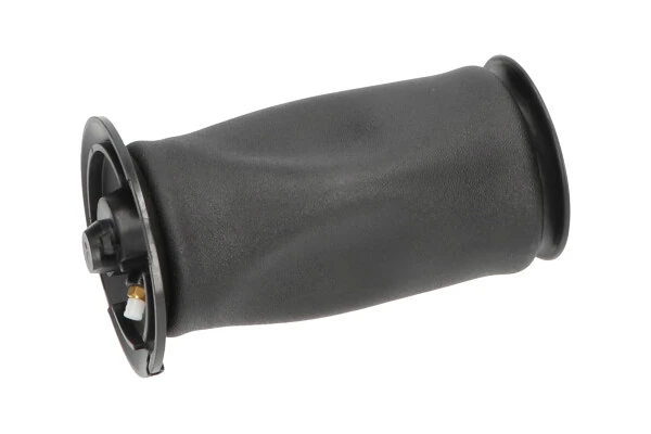 SAS10005 Kavo Parts