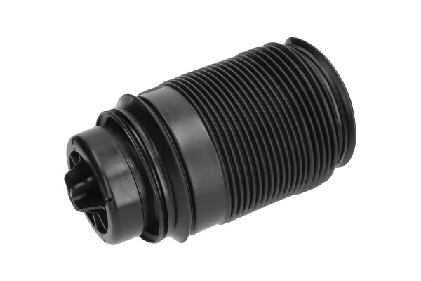 SAS10019 Kavo Parts