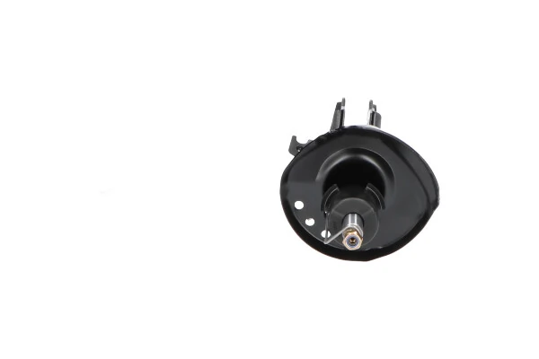 Amortyzator przedni prawy Kavo Parts SSA10284 cena, od 62,82 USD