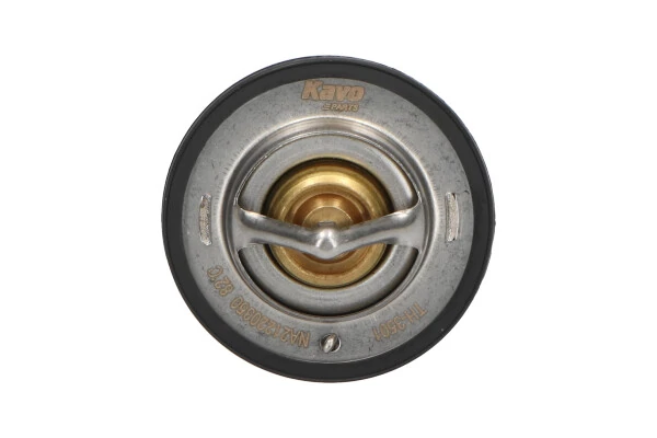  Termostat Opel Monterey 