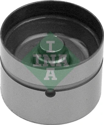 420009310 INA