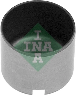 421004110 INA