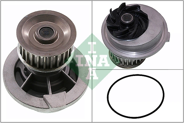 538013110 INA