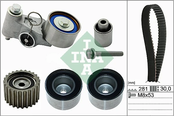 530056310 INA