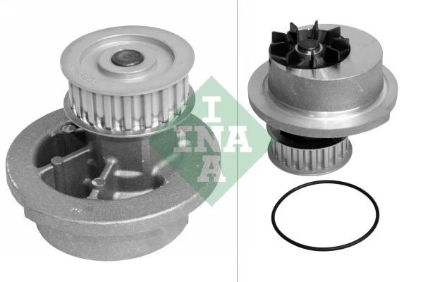 538001210 INA