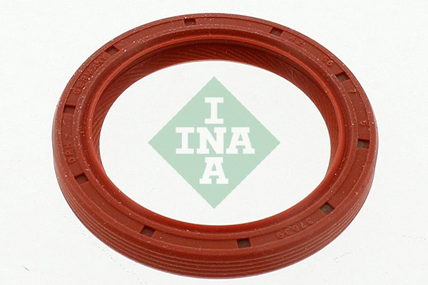 413008410 INA