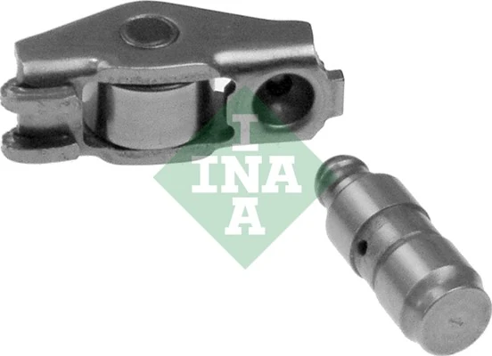 423000610 INA