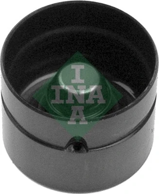 420008010 INA