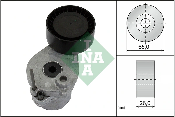 534069310 INA