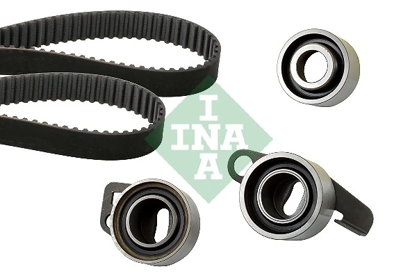 530058110 INA