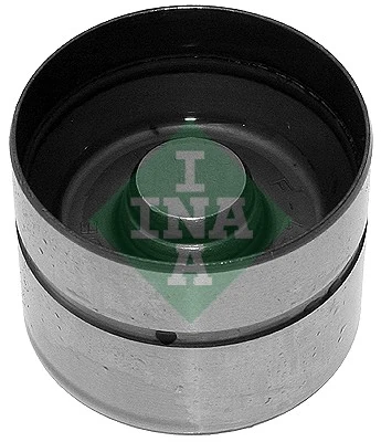 420004310 INA