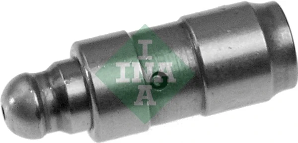 420008210 INA