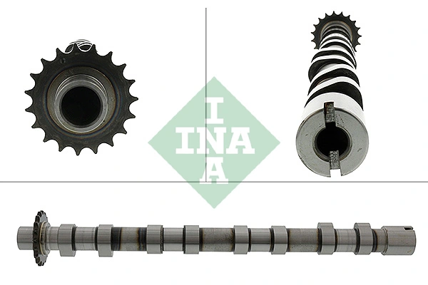 428018910 INA