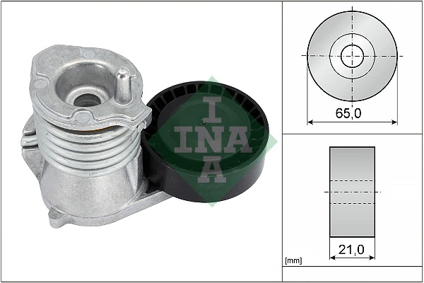 534002910 INA