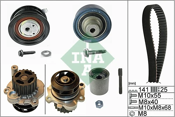 530036131 INA