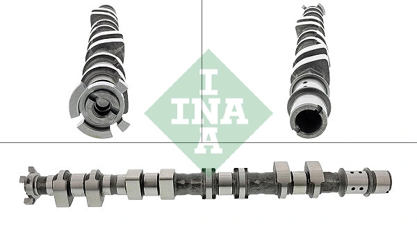 428017610 INA