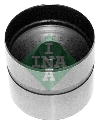 420021010 INA